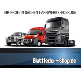 Niveaufedern Ford Transit / Tourneo Connect (02-13) [AA]